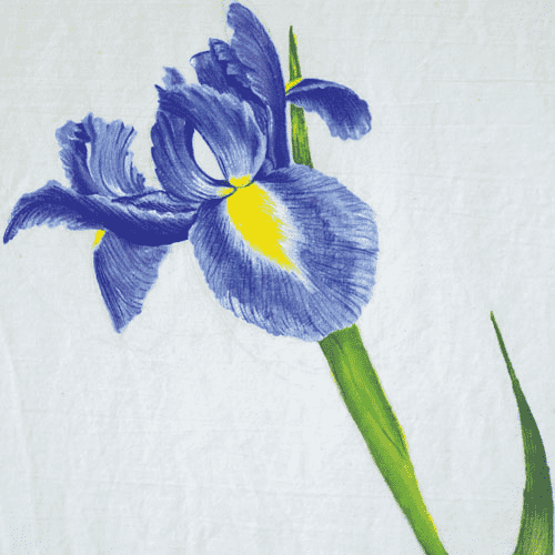 8%20Michelle Laubcher-Jäger